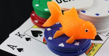 Фиш в покере