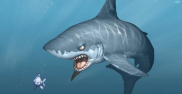 Обзор сервиса SharkScope для покера